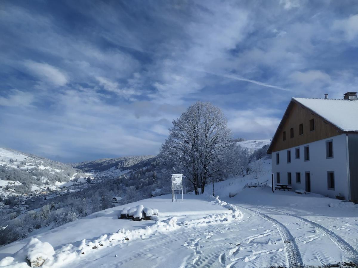 Gites De Moyenmont La Bresse Esterno foto