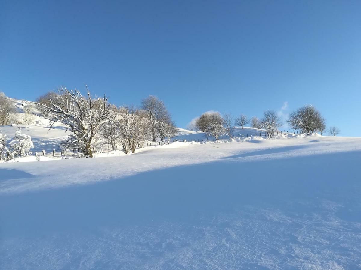 Gites De Moyenmont La Bresse Esterno foto